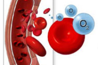 Анемия лишает клетки кислорода