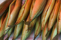 Медики развенчали миф об исключительной пользе жирной рыбы