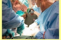 Искусственный тканевой трансплантат способствует заживлению ран