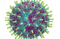 В Саратове началась вакцинация населения против гриппа, планируется привить практически 250 тыс человек