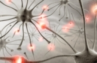 Открытие может дать новый вид лечения эпилепсии