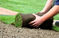 Укладка рулонного газона — отличный способ благоустроить территорию возле дома