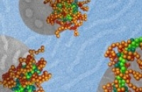 Для генной нанотерапии форма играет ключевую роль