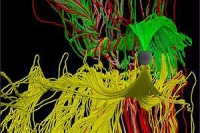 Американцы разработали эффективное лекарство от радиации