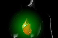 Инъекции Ikaria спасут сердце после тяжелых сердечных приступов