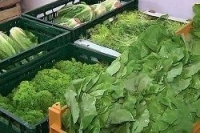 На смену испанским огурцам пришла голландская свекла На смену испанским огурцам пришла голландская свекла