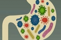 Тело здорового человека буквально кишит микробами