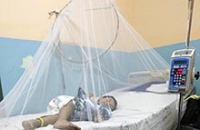 Докторы из Никарагуа пытаются держать вспышку лихорадки Денге под контролем
