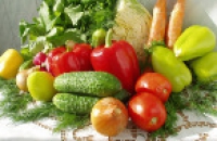 Европейские овощи абсолютно безопасны для россиян — Еврокомиссия