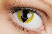 Линзы опасны для здоровья глаз