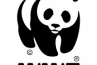 WWF России советует готовиться к учащению стихийных бедствий