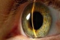 Гормон роста влияет на глазное давление