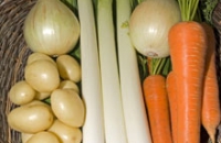 Цвет овощей не говорит об их питательности, заявляют диетологи