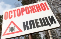 Первые случаи укусов клещей зафиксированы в Томской области