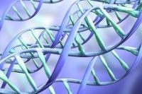 Определить наследственные сердечные заболевания станет легче