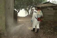 В Мексике зарегистрирована вспышка птичьего гриппа В Мексике зарегистрирована вспышка птичьего гриппа