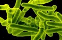Инъекции распространенной бактерии улучшили настроение раковых больных