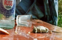 Роспотребнадзор поищет в России опасные стаканы со Шрэком