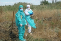 В Ростовской области обнаружена сибирская язва