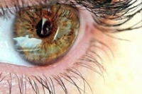 Риск деменции определяет размер глазных сосудов