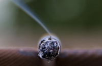Сигареты без табака тоже вызывают рак