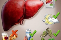 Как понять, что печень перегружена: 5 симптомов, которые многие игнорируют в повседневной жизни