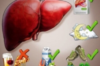 Как понять, что печень перегружена: 5 симптомов, которые многие игнорируют в повседневной жизни