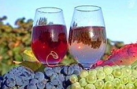Виноградная клетчатка улучшает липидный профиль и снижают уровень артериального давления