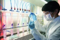 Миру угрожают непобедимые бактерии Миру угрожают непобедимые бактерии