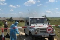 АЧС распространяется в Центральной России АЧС распространяется в Центральной России