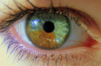 Уникальная технология обещает изменить всем желающим цвет глаз (ВИДЕО)