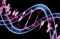 Американские ученые выявили набор генетических маркеров болезни Альцгеймера