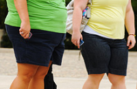 Новое лечущее средство от ожирения обрекает жировые клетки на голодную смерть