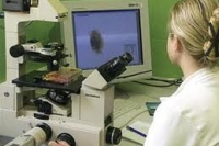 Рак кожи диагностируют по фото Рак кожи диагностируют по фото