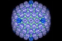 Американцы создали вирус герпеса для диагностики рака Американцы создали вирус герпеса для диагностики рака