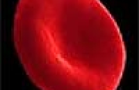 Синтетические нанотромбоциты удваивают шансы на выживание при массивном кровотечении