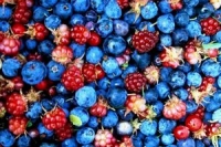 Внедрение специй при приготовлении мяса снижает риск развития онкологических заболеваний Внедрение специй при приготовлении мяса снижает риск развития онкологических заболеваний