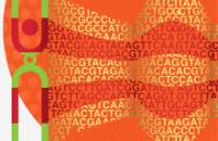 Анализ генома человека гораздо доступнее, чем принято считать