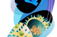 Вакцина против лихорадки денге производства Санофи Пастер – в финишной стадии клинической разработки