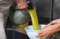 Активный ингредиент оливкового масла защищает мозг от деменции