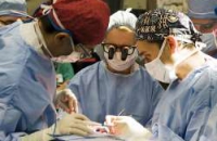 Прорыв, дарящий надежду: хирурги «оживили» легкие от посмертного донора