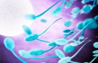 Обмен веществ у детей связали с качеством спермы отца