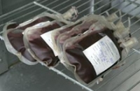 Новый закон о крови изменил обычную ситуацию с донорством в России