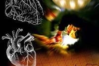 Специалисты обсудили аспекты рентгенэндоваскулярного лечения ИБС