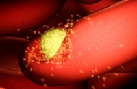 Прорыв в медицине: супер-микроскоп заснял малярийного паразита в действии