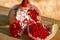 Аборт утраивает риск развития у женщины рака груди Аборт утраивает риск развития у женщины рака груди