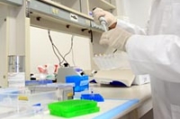 Смертоносная форма рака простаты работает за счет энзима PRSS3 Смертоносная форма рака простаты работает за счет энзима PRSS3