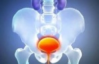 FDA одобрило оксибутинин в форме геля для внешнего применения для лечения гиперактивности мочевого пузыря