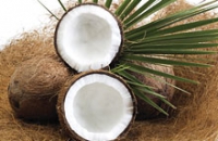 Исследователи защищают кокосовое масло от нападок врачей