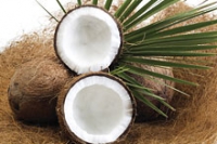 Исследователи защищают кокосовое масло от нападок врачей